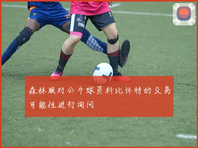森林狼对公牛球员科比怀特的交易可能性进行询问