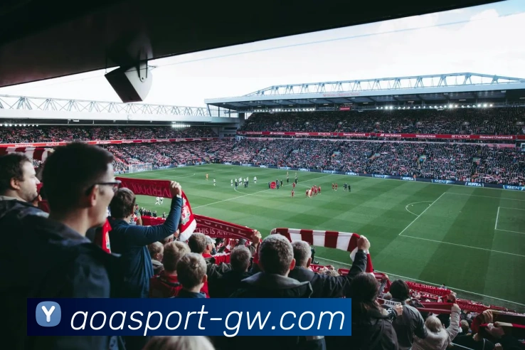 多媒体互动体验